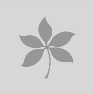 buckeye leaf grey