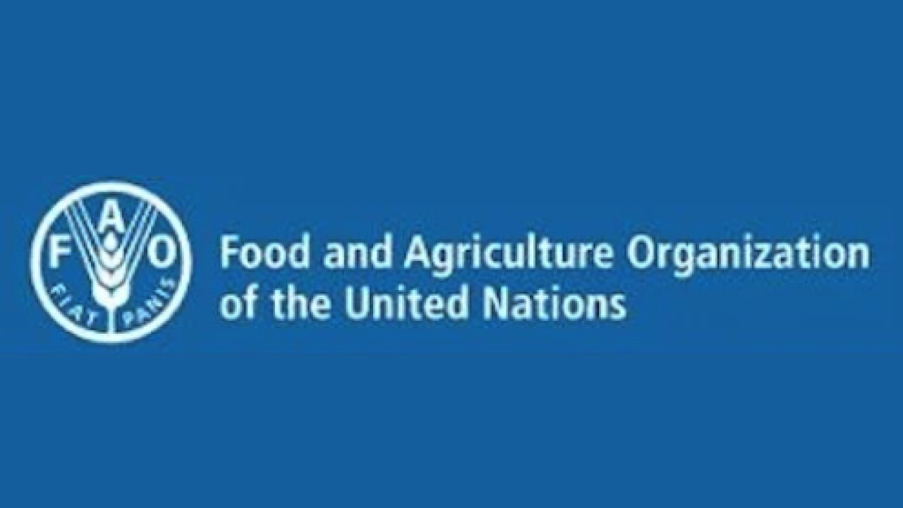 UN FAO Logo