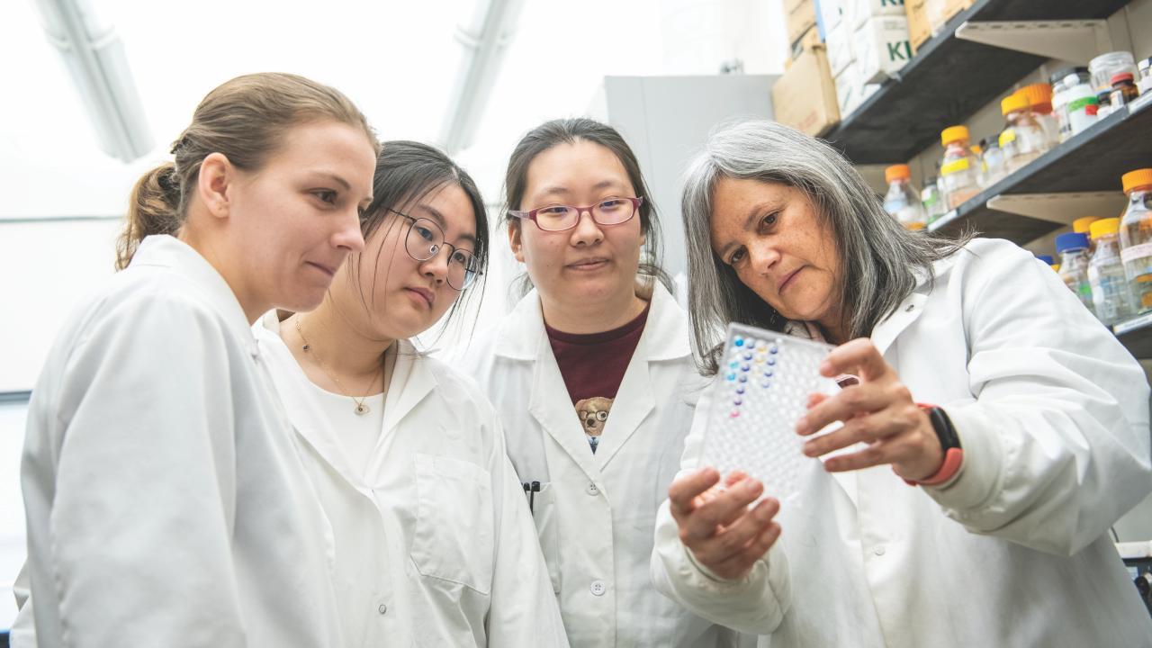 Four researchers examine lab results
