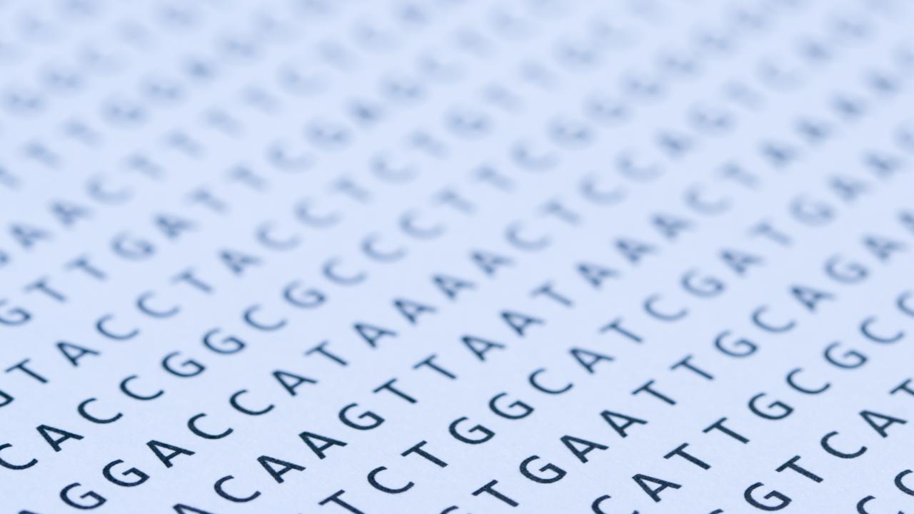 Macro of a nucleotide