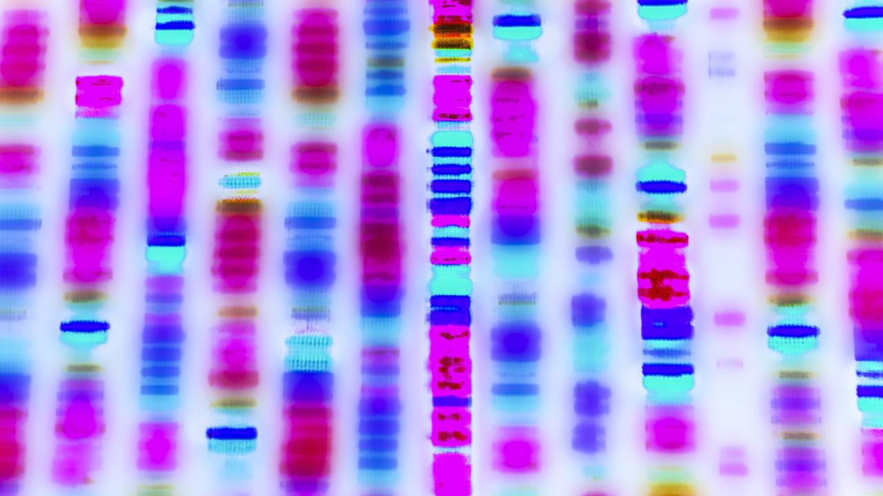 DNA sequence, human cells, DNA, biology, genes, chromosomes, multicolored cell image